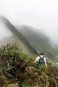 Me on Ridgeline Between the Peaks of Konahuanui, Highest Point of the Ko'olau Mountains (Photo by Nathan Yuen)