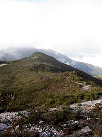 The foliage on the summit is shrubby, compared to the virgin growth rainforest during the 40 km approach