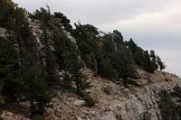 Sandia Crest