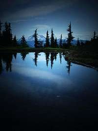 Tarn in the 1st major Meadows