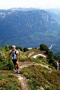 Ascending through the wildflowers before the summit