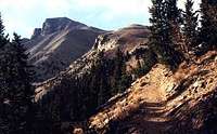 View on the Wheeler Peak...