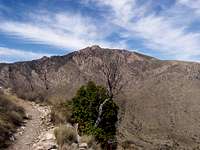 Gudalupe Peak Trail