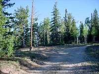View of the trailhead from...