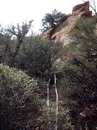 VegeMight Buttress, 5.8 R, 1,100 ft., Red Butte, Zion, UT