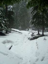 Minto Pass Trail