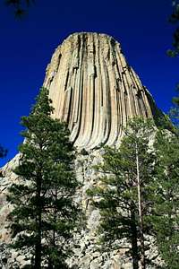 Devils Tower in late afternoon