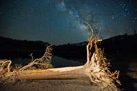 Dead Tree and Milky Way, Horseshoe Lake