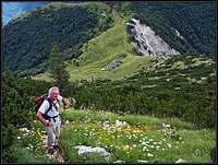 Above Kal alpine meadow