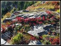 Granite And Red Leaves