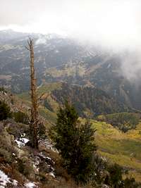 Gobblers Knob (Alexander Basin Trail)