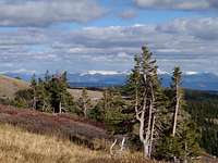 West Elk Wilderness (thanks RR)