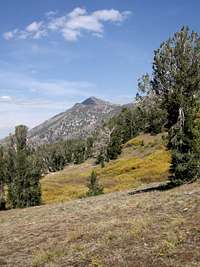 Highland Peak ~ 10,935 Ft.