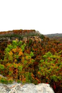 Bluff and Fall Colors (BSF)