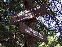 Healdville Trail Junction