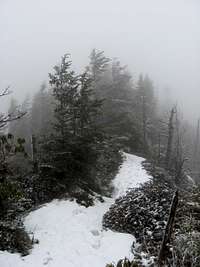 Overlook just beyond the peak