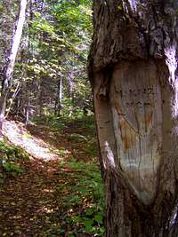 McKenzie Mtn Carved Tree Sign