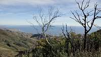 North Santa Barbara from Gaviota Peak