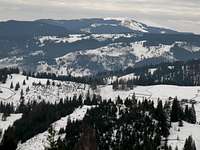 Carpathian Mountains of Bucovina