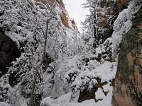 Snow in Zion