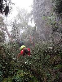 Climbing Pasochoa