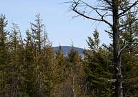 Glastenbury Mtn from Bald Mtn