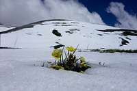 Gran Sasso