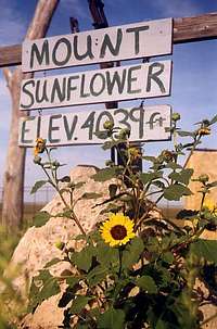 KS - Mount Sunflower