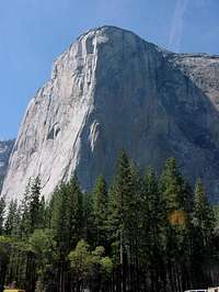 The Nose on El Cap. May 17,...