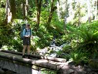 Fresh water sources - Hoh River Trail