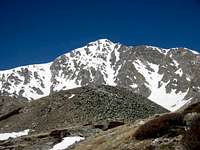 Torreys from about 1 mile in...
