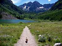 the maroon bells and a cat.