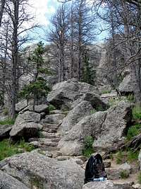 Summit Approach to Harney Peak