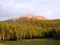 Baldy Mountain. July 2003