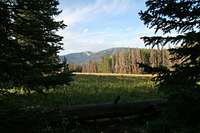 Campsite WF1 along Black Butte Trail