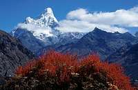 Ama Dablam from route to Khumjung