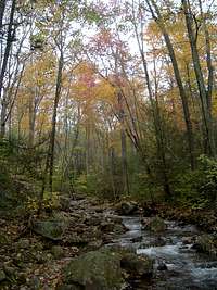 Little Stony Creek in Autumn