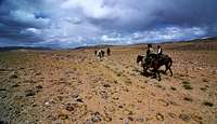 Travelling across the Big Pamir