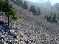 tartera (stones).
 
...