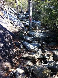 Steep trail up Table Rock
