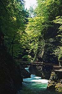 Vintgar gorge.