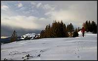 Stamare alpine meadow