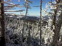 views of Bretton Woods from Mt Adams