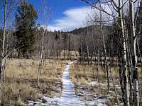 Ute Creek Trail