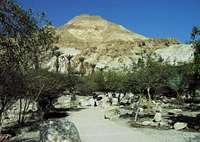 Wadi David. Mt Yishay (Dead sea area)