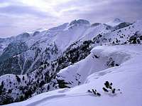 The top in winter