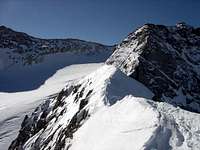 Ossoue Glacier from Petit...