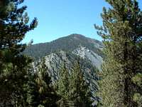 Pine Mtn. from Guffy campground