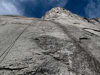 Looking up from the base of El Cap