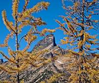 Larches and Tower Mountain